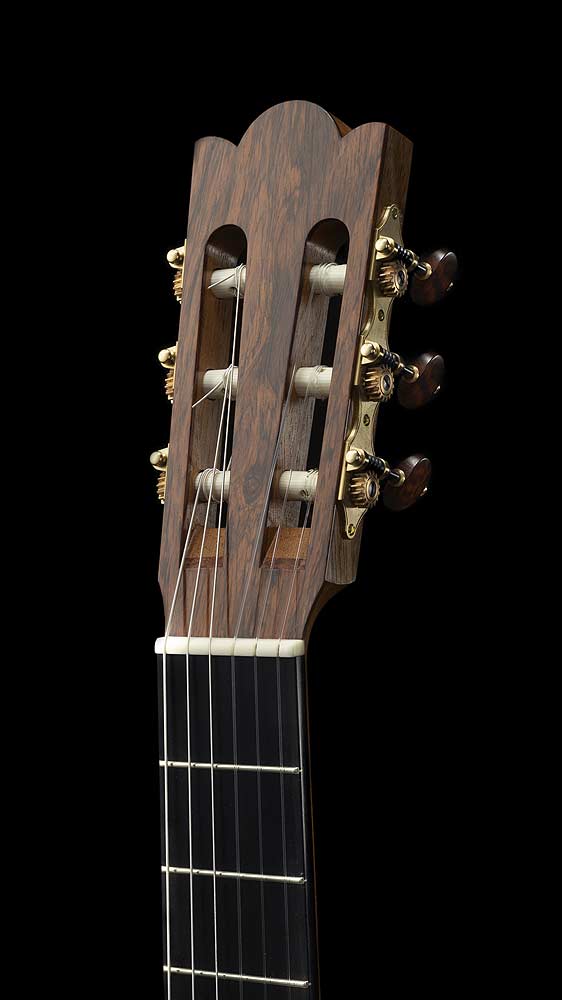 Halbtotale des eleganten Kopfs des Gitarrenmodells ANIMA 