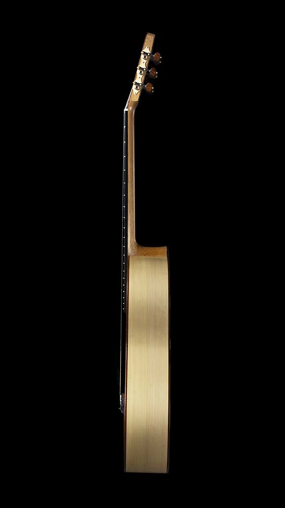 Seitenansicht des Gitarrenmodells ANIMA