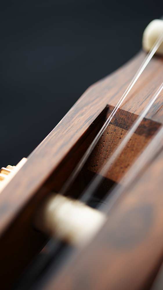 Kopfdetail des Gitarrenmodells ANIMA – Ausschnitt eines Mechanikenfensters mit darin verlaufenden Saiten