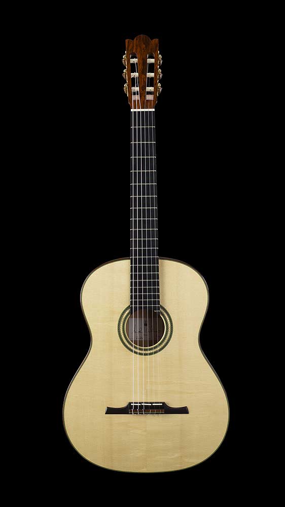 Vorderansicht des Gitarrenmodells ANIMA