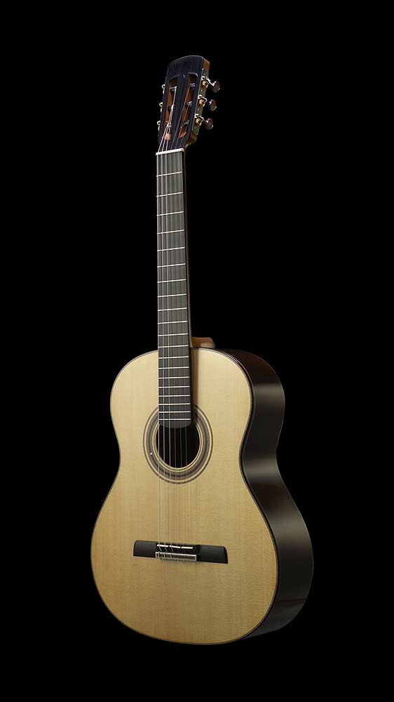 Halbtotale des Gitarrenmodells ESSENCE – Ansicht von vorn