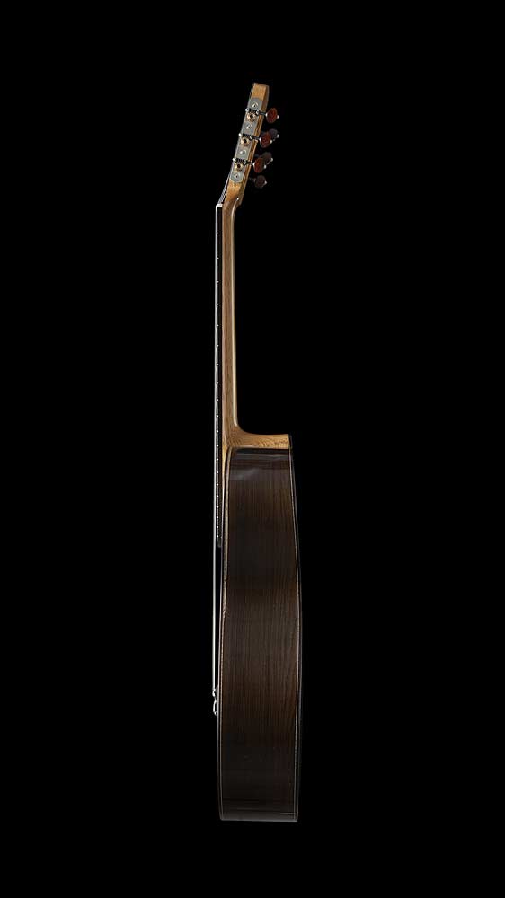 Seitenansicht des Gitarrenmodells ESSENCE
