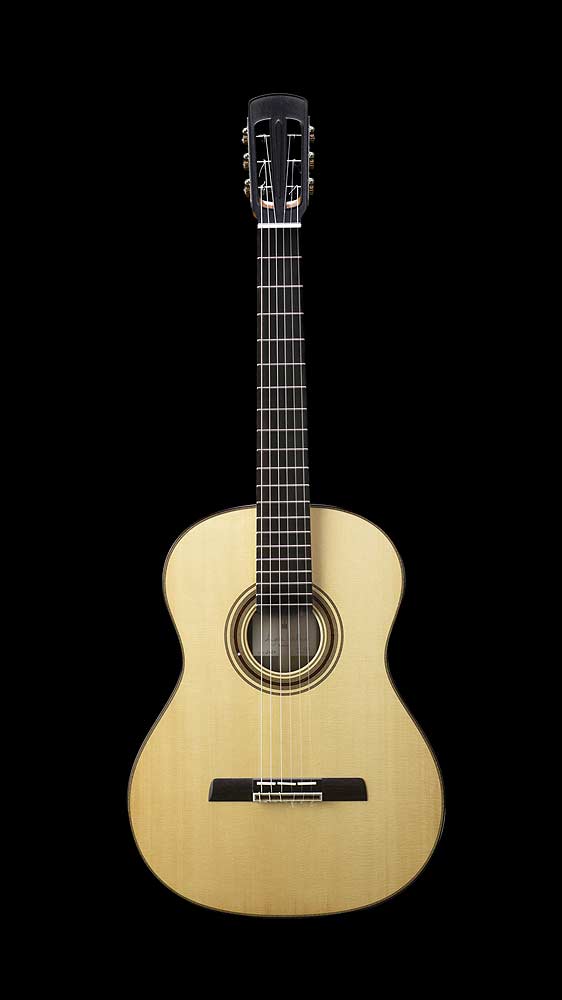 Vorderansicht des Gitarrenmodells ESSENCE